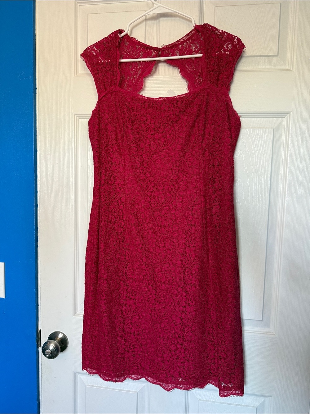 Adrianna Papell hot pink Lace Cap-Sleeve Sheath Dress